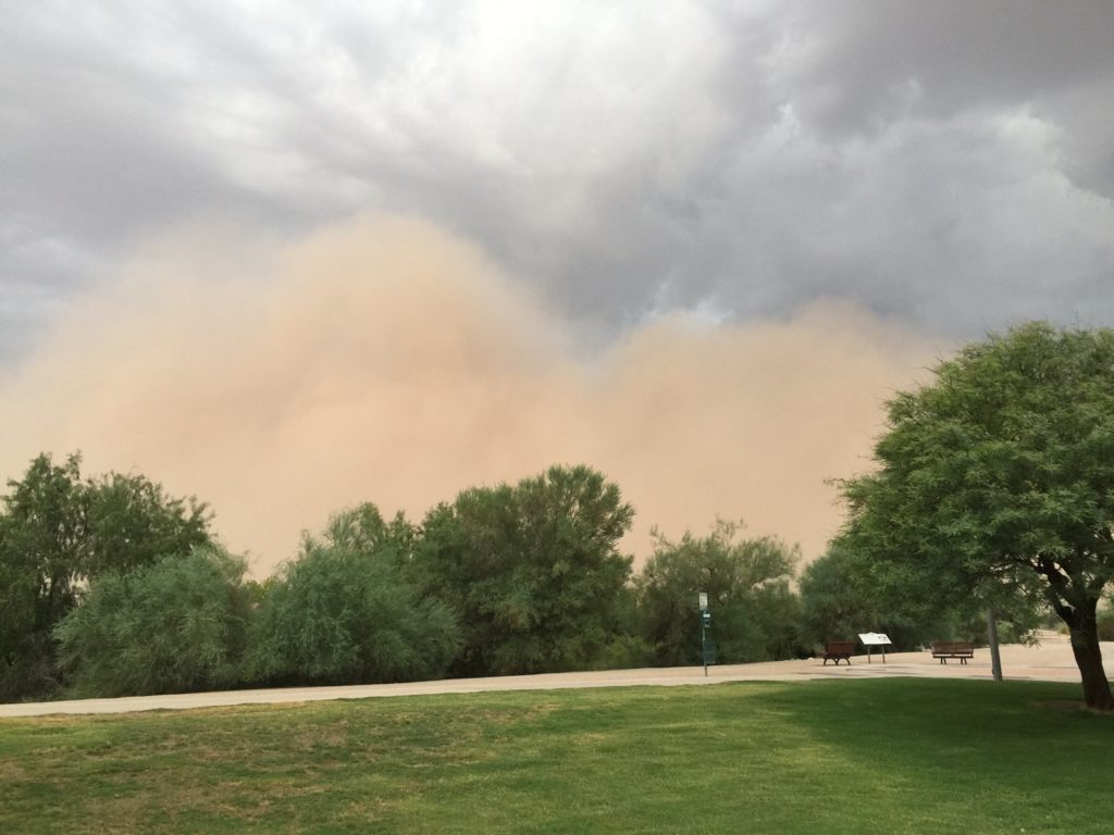 image of dust storm approaching the park